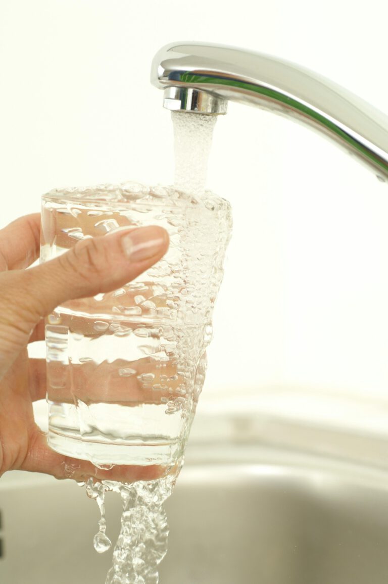 FACHVORTRAG: „WASSER IST NICHT GLEICH WASSER“