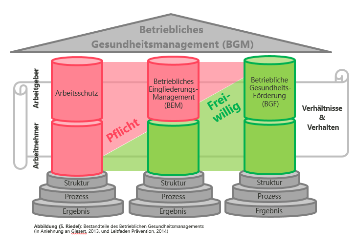Grafik zu den Säulen des Betrieblichen Gesundheitsmanagements (BGM): Arbeitsschutz, Betriebliches Eingliederungsmanagement (BEM) und Betriebliche Gesundheitsförderung (BGF). Titel: Betriebliche Gesundheitsförderung (BGF)