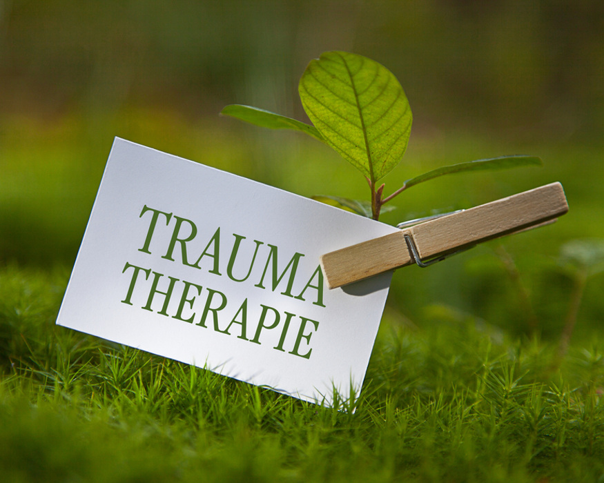 Schild mit Aufschrift ‚Traumatherapie‘ in grüner Schrift, befestigt an einer kleinen Pflanze im Gras – Symbol für Heilung, Neubeginn und Wachstum.